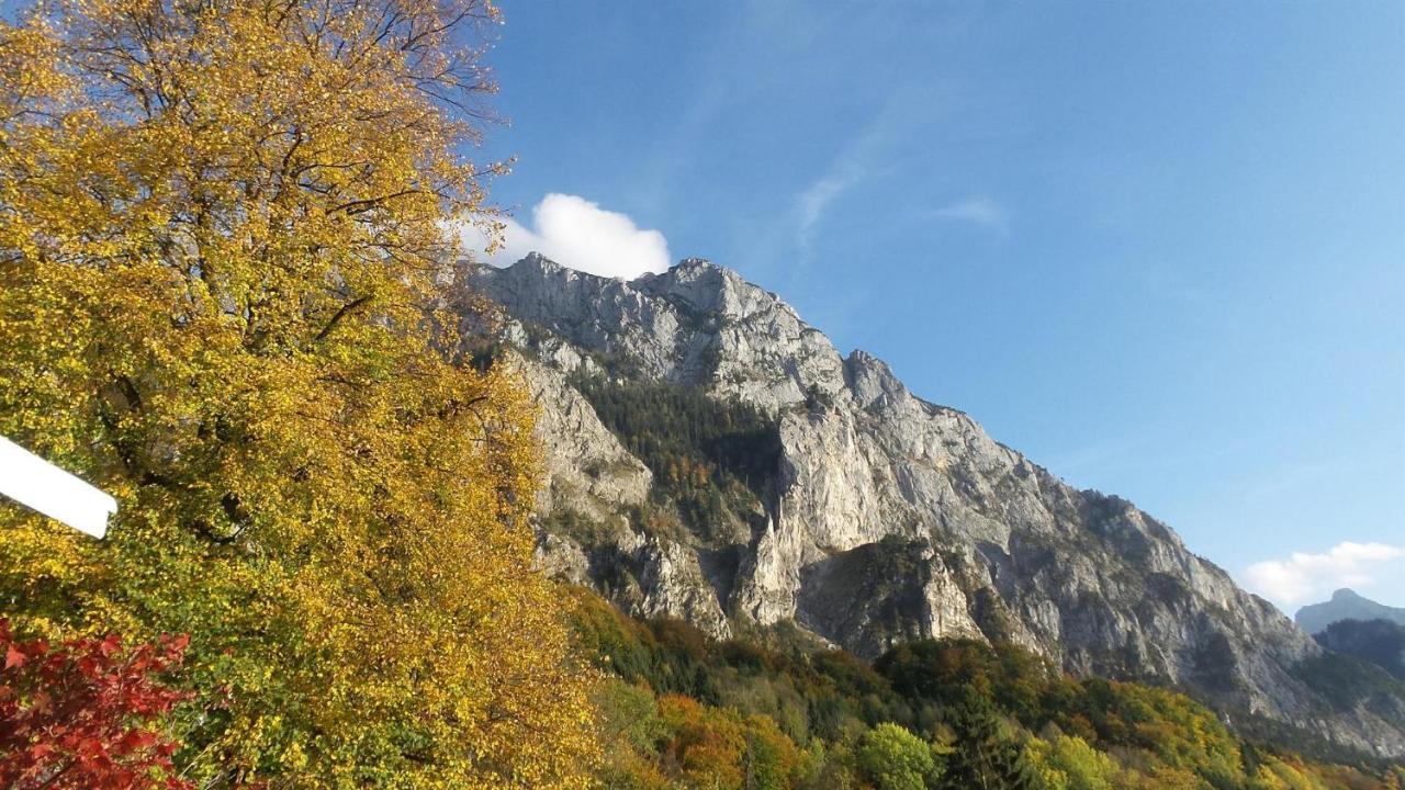 Wolfis Traunseeblick - Mit Kostenlosem Parkplatz Direkt An Der Unterkunft Gmunden Exterior foto